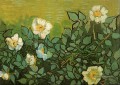 Roses sauvages Vincent van Gogh